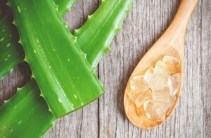 alovera for piles treatment